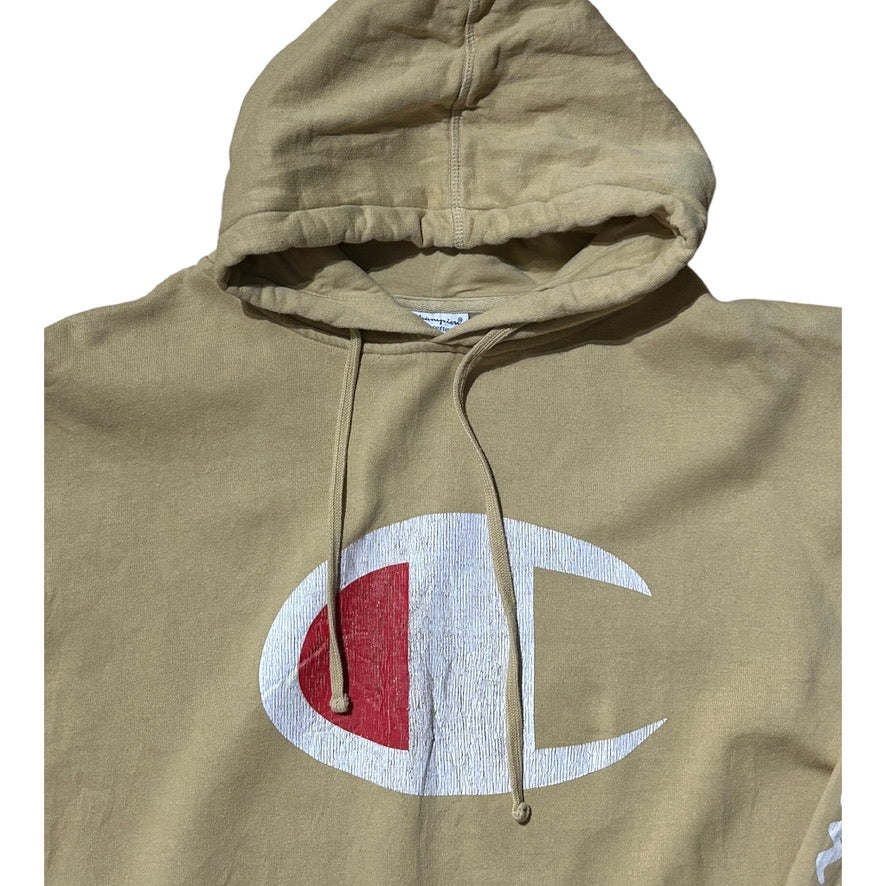 Champion Authentic Athleticwear Apparel Logo Hoody - Recurring.Life